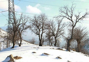 بارش برف در ارتفاعات خوزستان، ذخیره خوبی برای تابستان