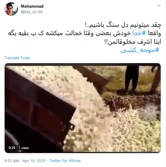 اعلام برائت کاربران از زنده به گور کردن دهها میلیون جوجه اعلام برائت کاربران از زنده به گور کردن دهها میلیون جوجه