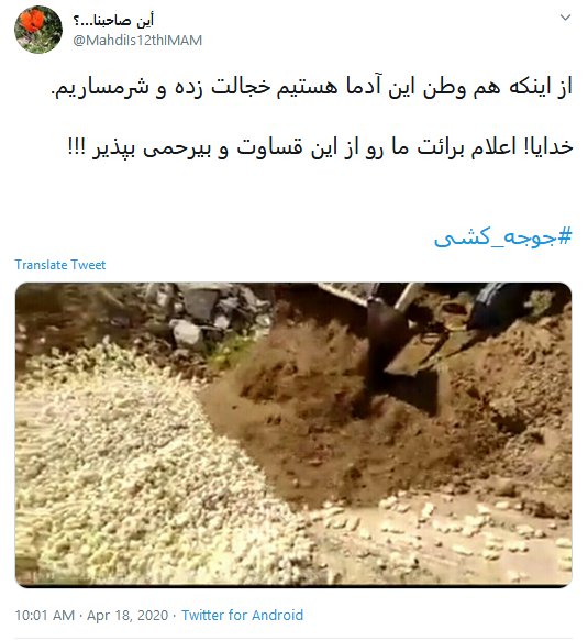 اعلام برائت کاربران از زنده به گور کردن دهها میلیون جوجه اعلام برائت کاربران از زنده به گور کردن دهها میلیون جوجه