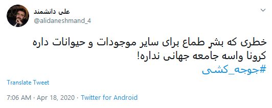اعلام برائت کاربران از زنده به گور کردن دهها میلیون جوجه اعلام برائت کاربران از زنده به گور کردن دهها میلیون جوجه