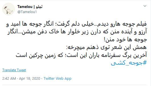 اعلام برائت کاربران از زنده به گور کردن دهها میلیون جوجه اعلام برائت کاربران از زنده به گور کردن دهها میلیون جوجه