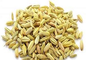 عرق رازیانه یک عرق مختص زنان
