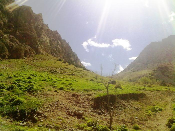 مجازی به ییلاق ارتکند سفر کنید