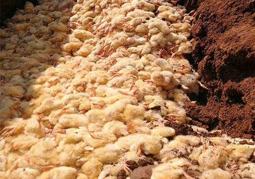 نگاهی گذرا به مهمترین رویداد&zwnj;های شنبه ۳۰ فروردین ماه در مازندران