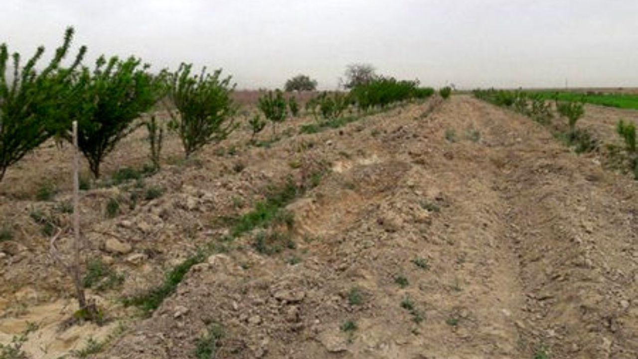 جذب اعتبارات ملی برای تقویت آبخیزداری در شهرستان اشتهارد
