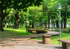 سرانه فضای سبز در اردبیل افزایش می‌یابد