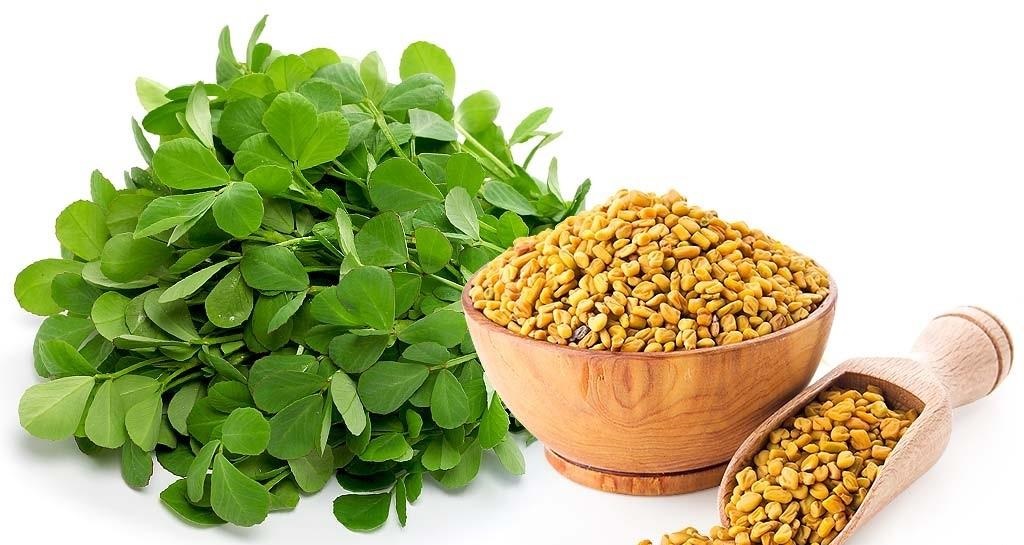 ۵ گیاه دارویی مفید برای دیابتی&zwnj;ها