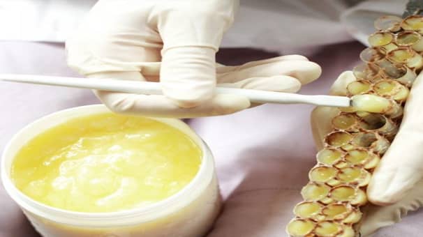 گام بلند اصفهان در تولید  ژل رویال