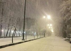 بارش ۲۱ میلی متری برف در شهرستان نهاوند