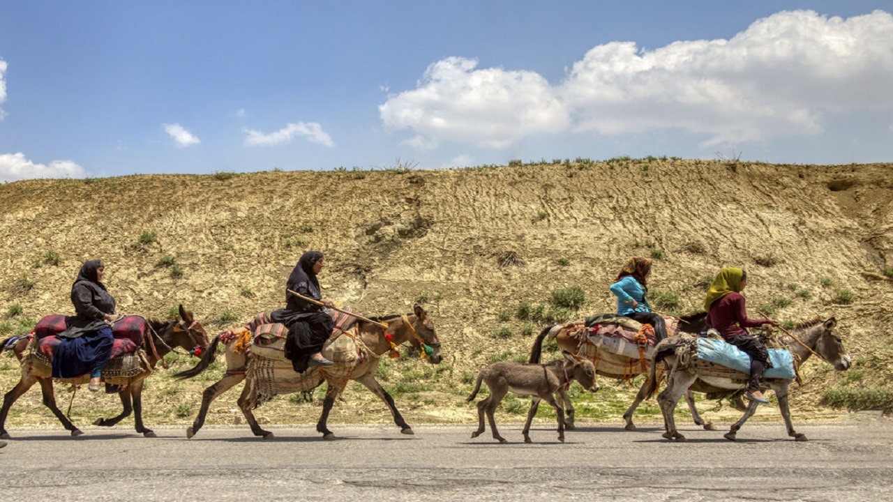هیچ خدمتی قبل از ۲۵ اردیبهشت به عشایر ارائه نمی‌شود