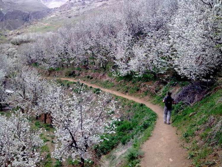 گردشگری مجازی در تهران؛ آبشاری دلربا در ۲۰ کیلومتری پایتخت+ تصاویر