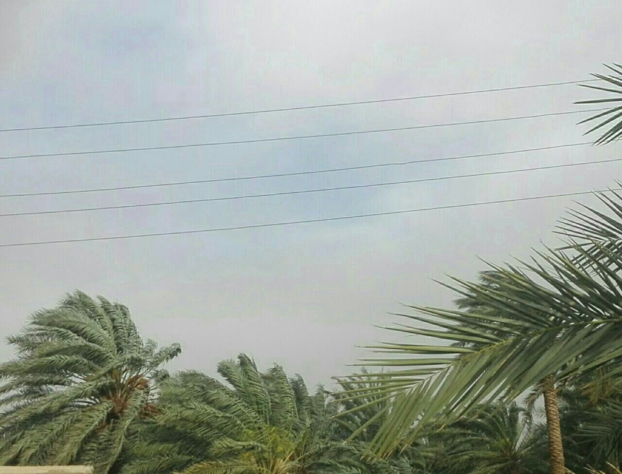 طوفان شن با سرعت ۸۰ کیلومتر در شهداد