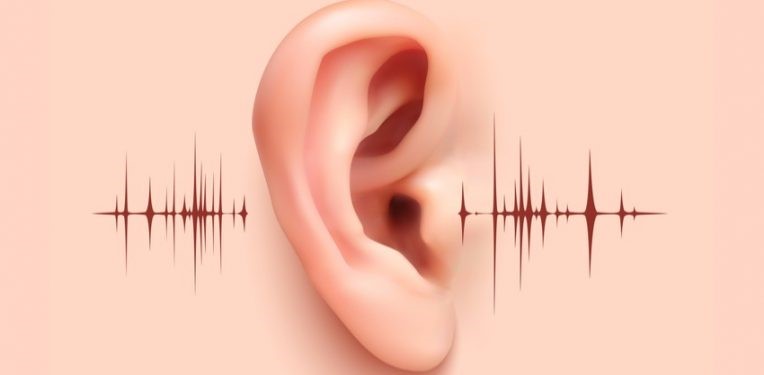 خدمتی جدید برای نیاز&zwnj;های پلیسی افراد کم شنوا در همدان