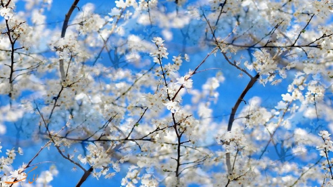 پیش بینی آسمانی صاف تا ۲۴ ساعت آینده