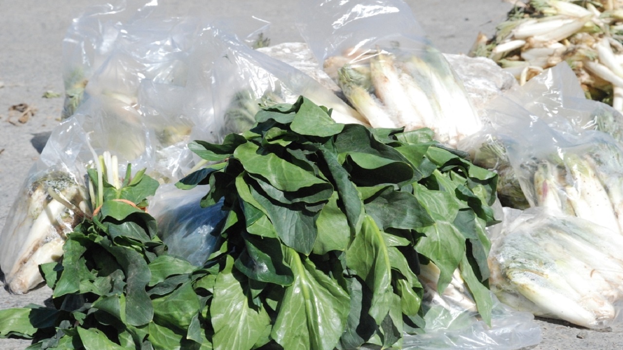 بوته کنی و ریشه کنی گیاهان مرتعی غیرمجاز است