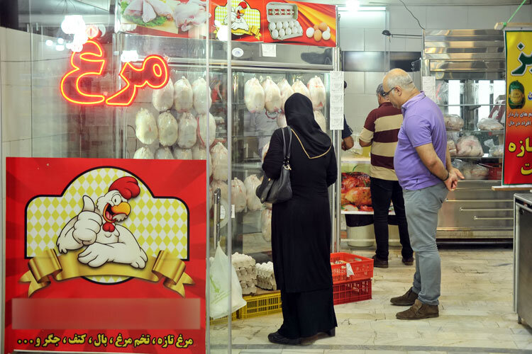 سقوط چشمگیر قیمت مرغ در بازار