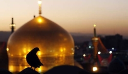 توصیه رهبری برای خواندن صلوات خاصه امام رضا (ع)