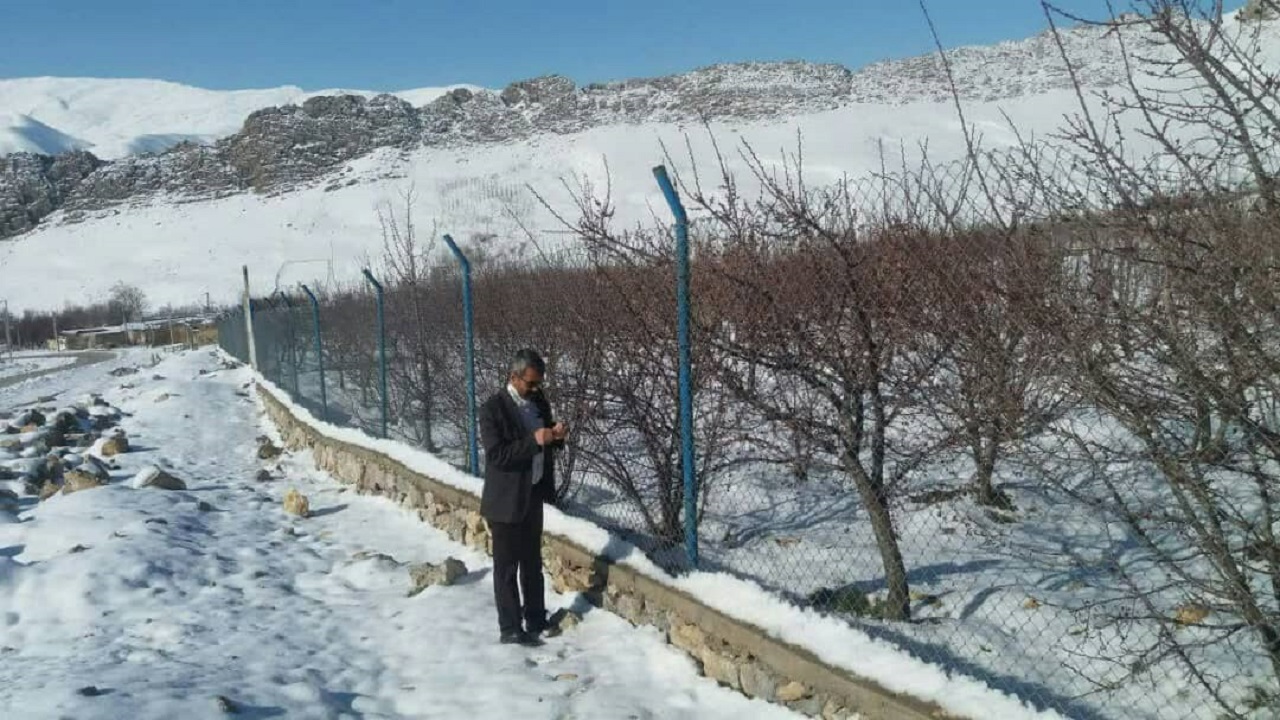 سرمازدگی ۶۰۰ هکتار از باغات فارسان