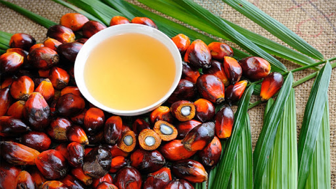 این روغن سلامت شما را به خطر می اندازد