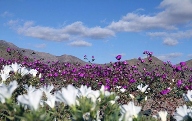 یزدان آباد و آیین نوروز