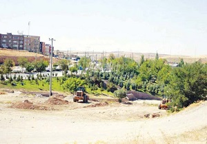ورودی و خروجی شهرهای شهرستان دیواندره درختکاری می شود
