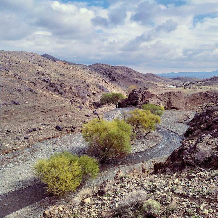تصاویر زیبا و دیدنی از کلاته کاشمر