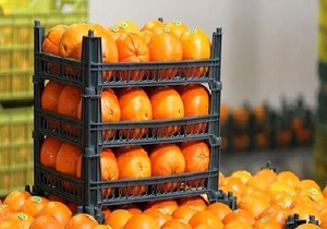 تداوم توزیع میوه شب عید در میادین شهر اردبیل/ واحد‌های صنعتی ملزم به رعایت نکات بهداشتی هستند