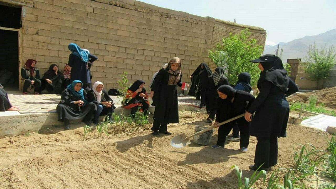 توسعه کشاورزی همراه با تکنولوژی و بر پایه دانش نوین
