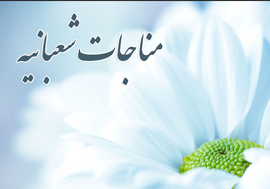 متن و ترجمه مناجات شعبانیه