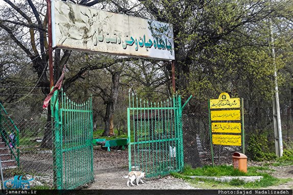 نگاهی گذرا به مهمترین رویداد&zwnj;های پنجشنبه ۷ فروردین ماه در مازندران
