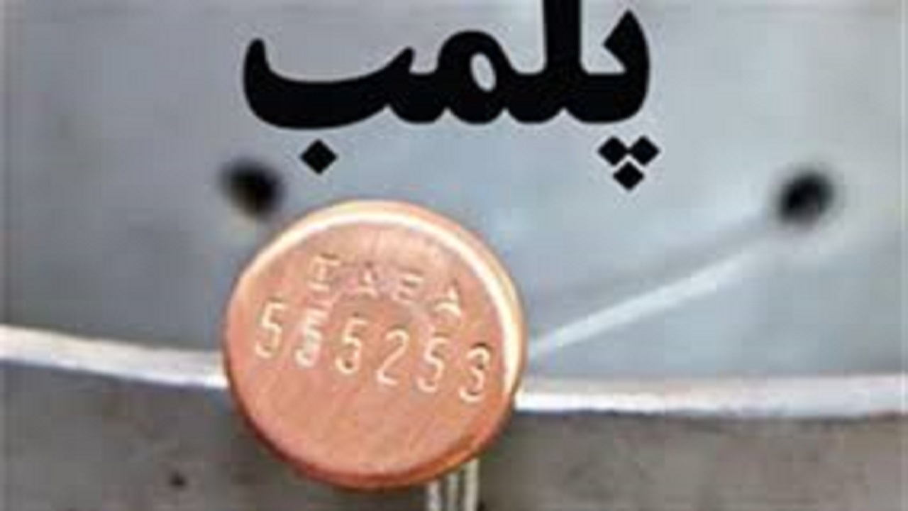 پلمب ۲ واحد صنفی در زاهدان/ ۸ نانوایی متخلف به تعزیرات حکومتی معرفی شدند