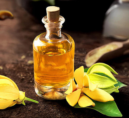 خواص و عوارض روغن یلانگ یلانگ خواص و عوارض روغن یلانگ یلانگ