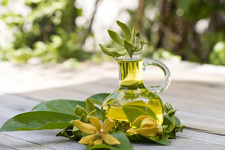 خواص و عوارض روغن یلانگ یلانگ خواص و عوارض روغن یلانگ یلانگ