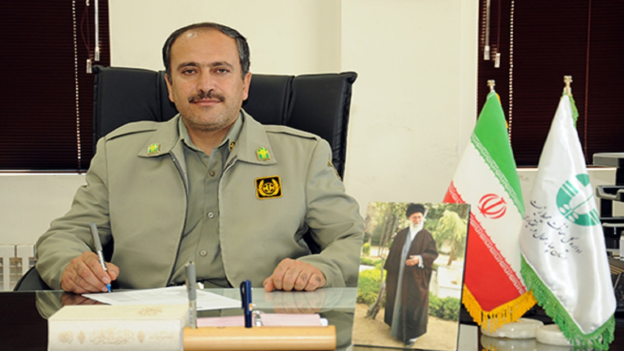 فرهنگ سازی حفظ محیط زیست از طریق فضای مجازی