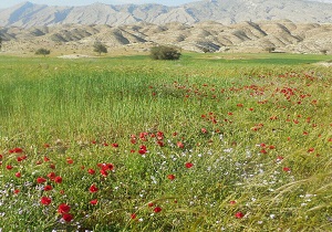 بهار جلوه ای باشکوه از رحمت خداوند در جهان هستی است