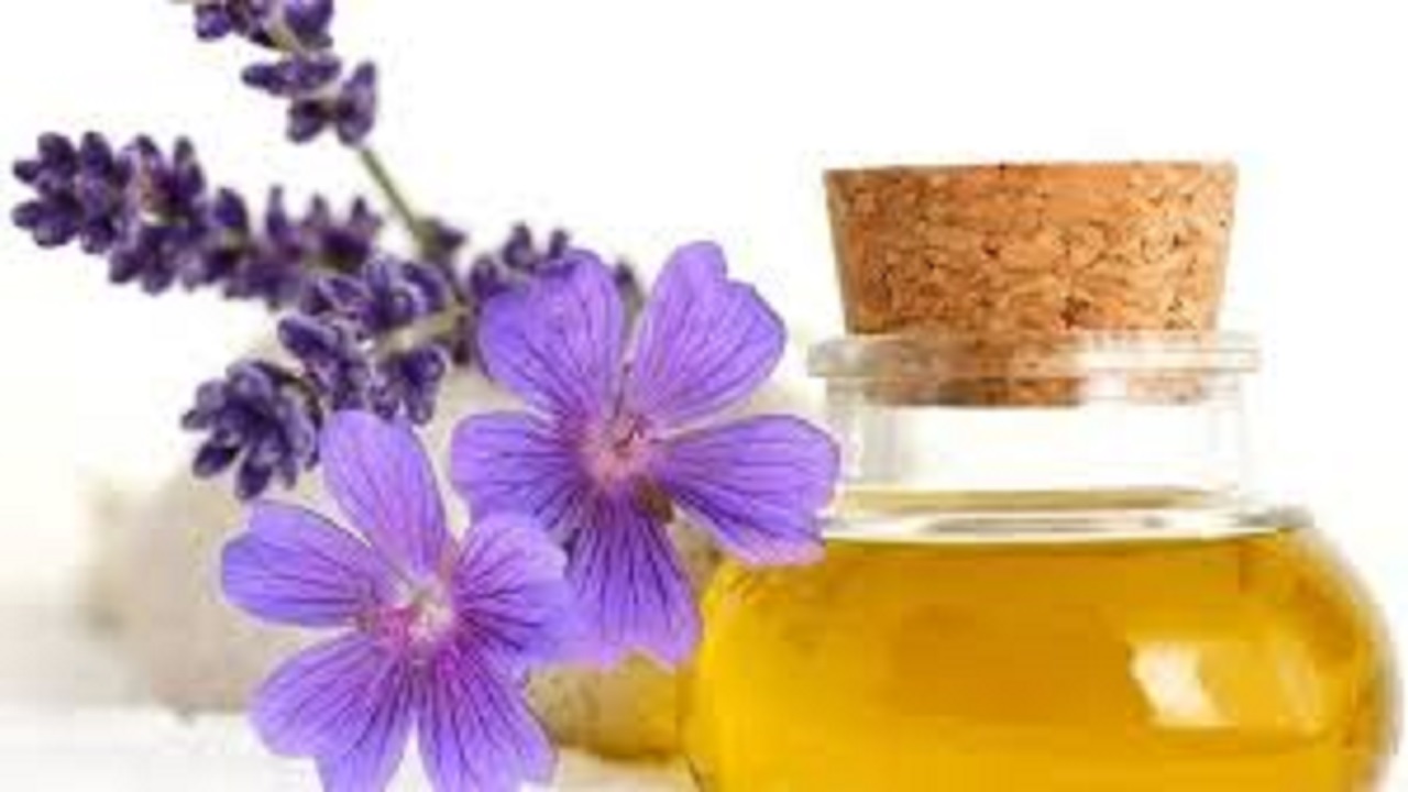 اساتید طب سنتی، بارژیم های دارویی به کمک بیماران کرونایی می روند