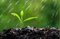 وقوع رگبار، رعدوبرق و تگرگ در زنجان وقوع رگبار، رعدوبرق و تگرگ در زنجان
