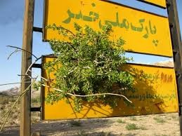 ورود به مناطق حفاظت شده کرمان ممنوع شد