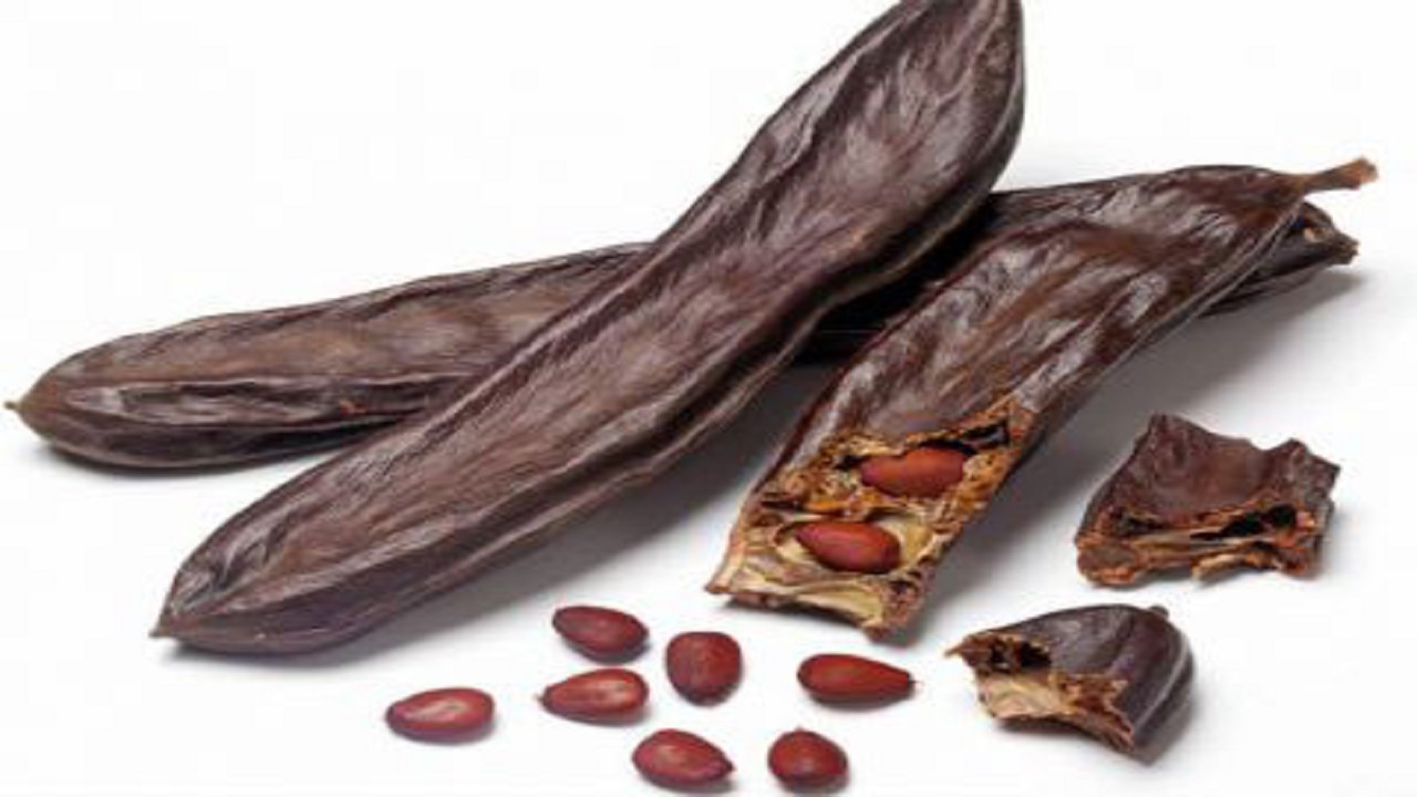 گیاه خرنوب چیست و چه خواصی دارد؟