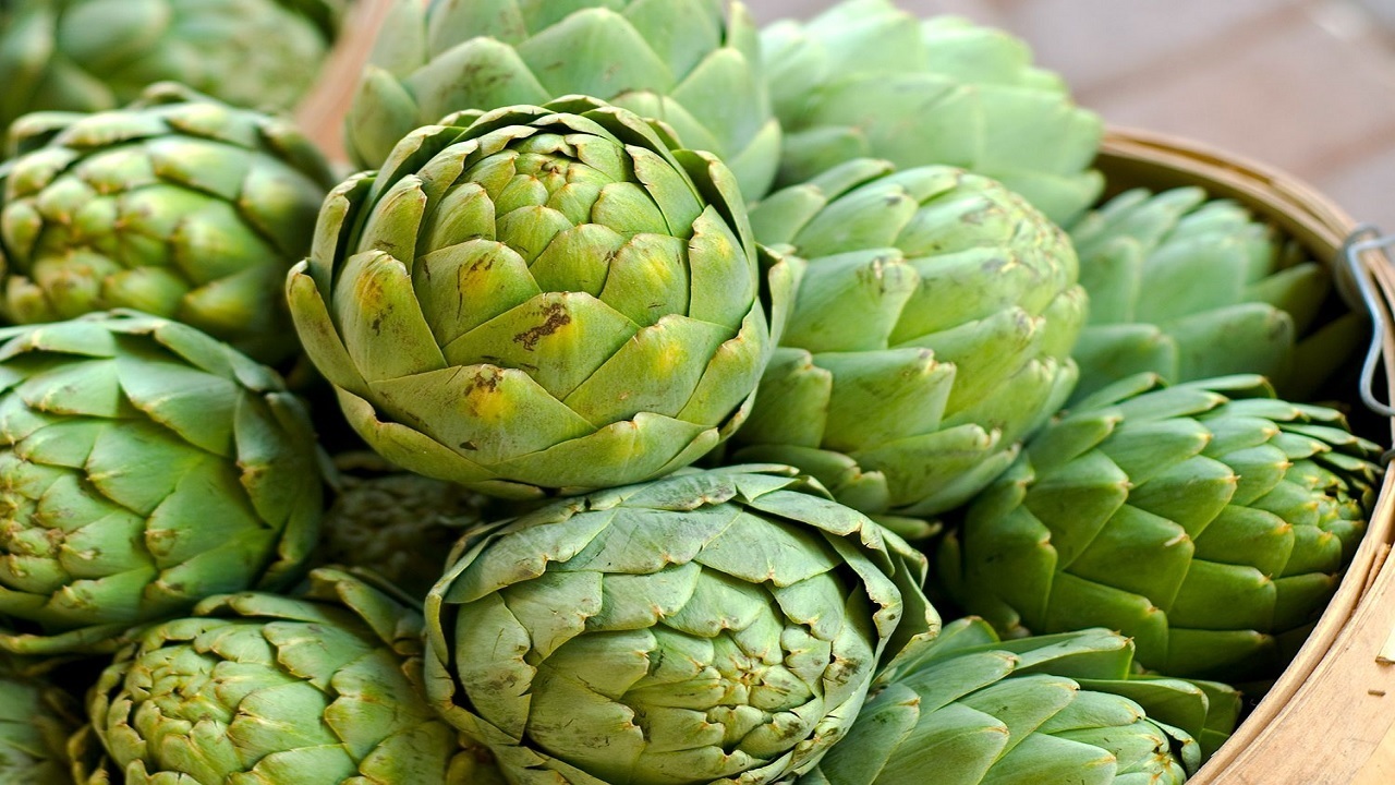 کنگر فرنگی 