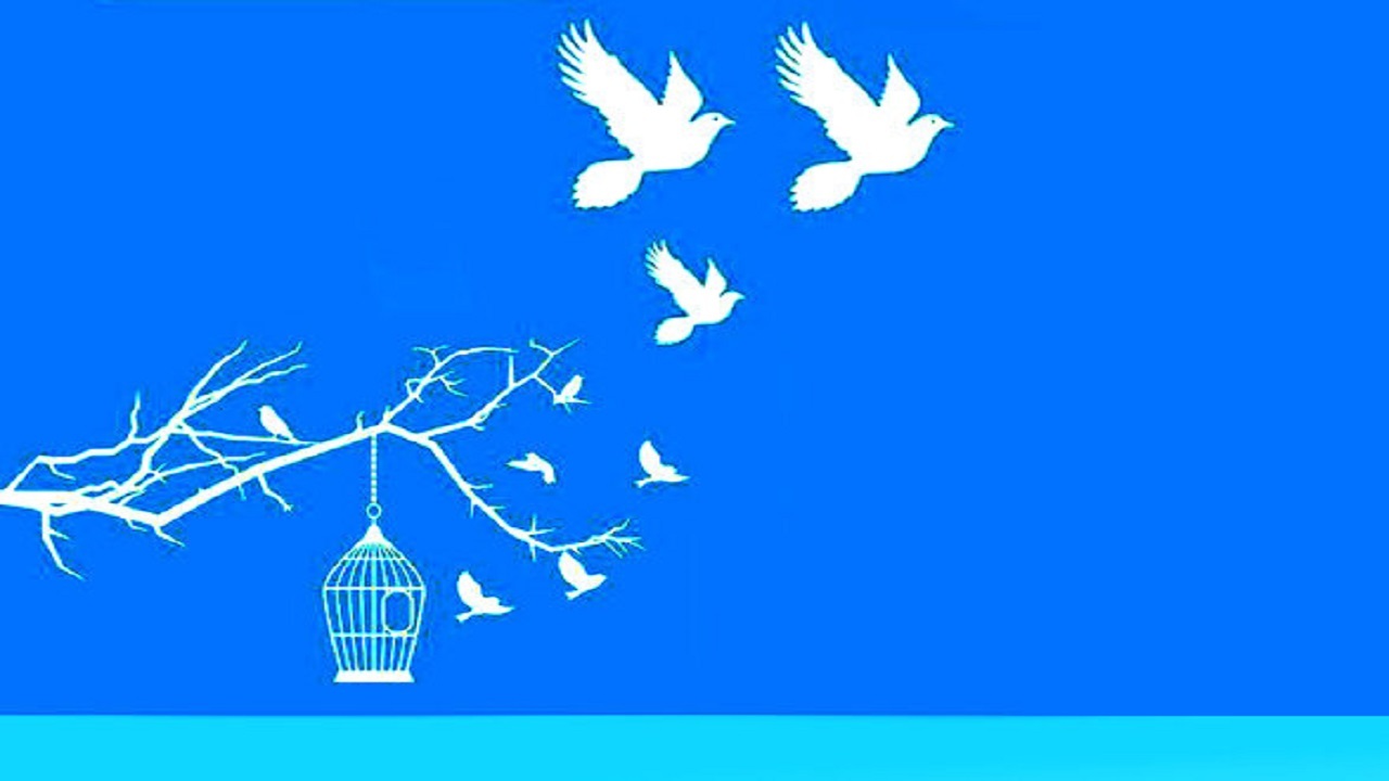 آزادی چند زندانی جرایم غیر عمد در تاکستان 
