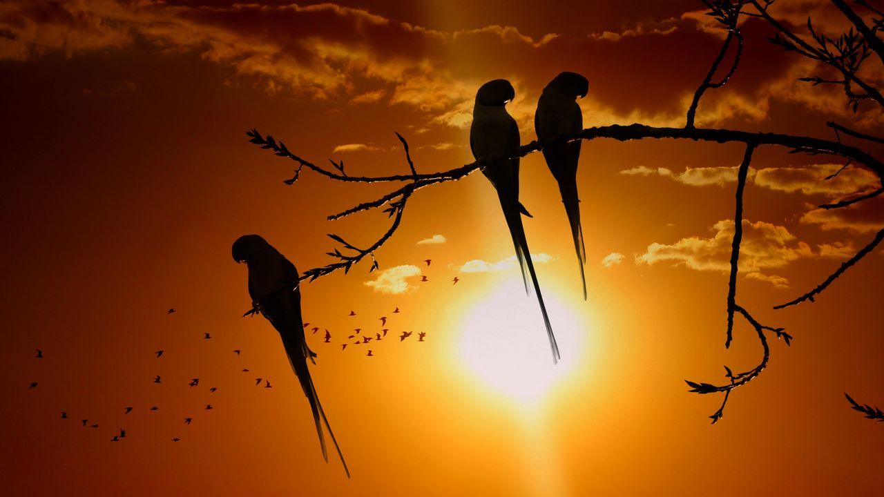 جذاب&zwnj;ترین تصاویر پس زمینه