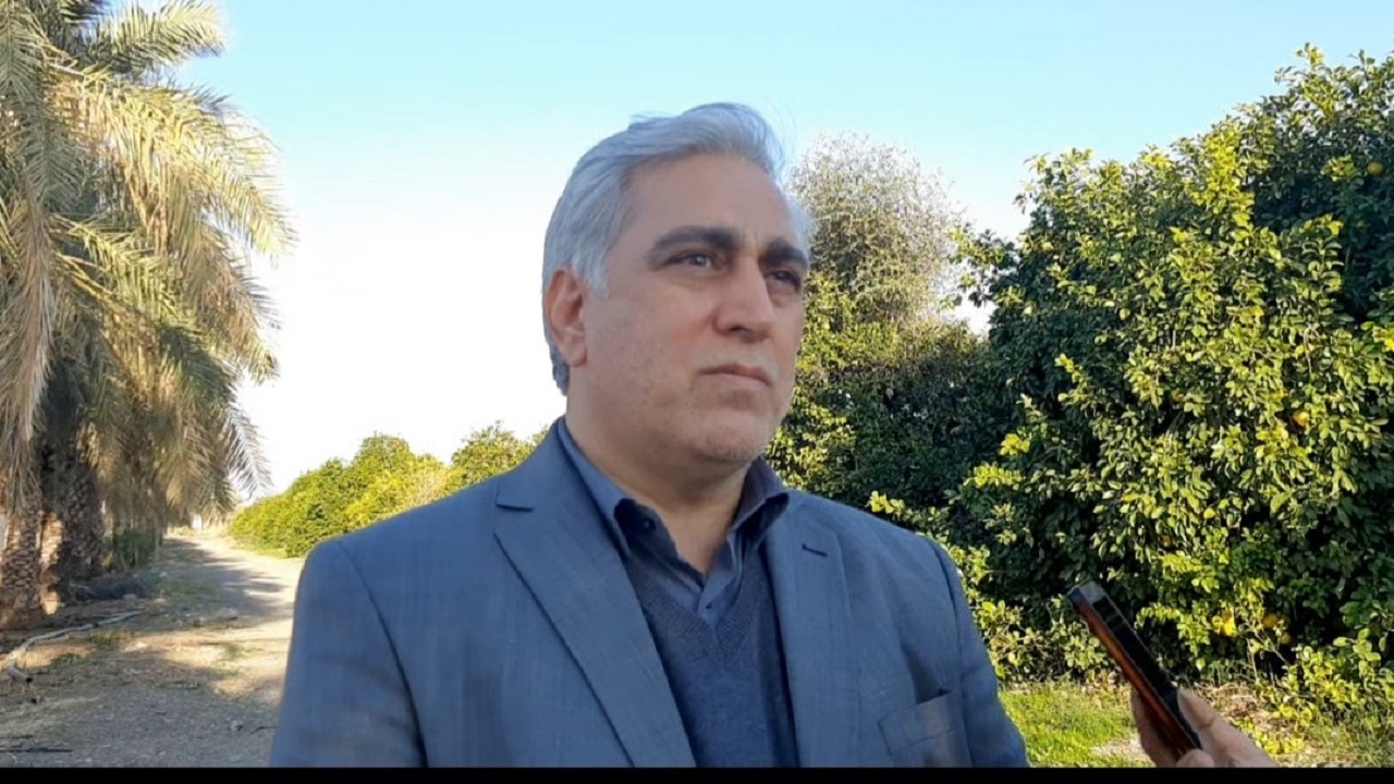 بازار محصولات کشاورزی جنوب کرمان نیازمندحمایت/ عرضه مستقیم محصول راهکارحمایتی کمیسیون کشاورزی است