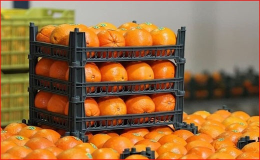 غیب شدن پول رهن دو شهردار بوشهر/ از دانش آموزان شین آباد چه خبر؟/ اصل دوری و دوستی را جدی بگیرید/ روایتی از مصباح انقلاب
