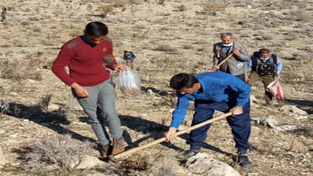 کاشت بذر به دست دوست داران طبیعت در  منطقه میان جنگل فسا