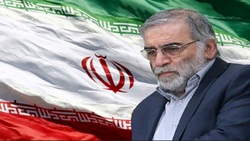 شهید محسن فخری زاده