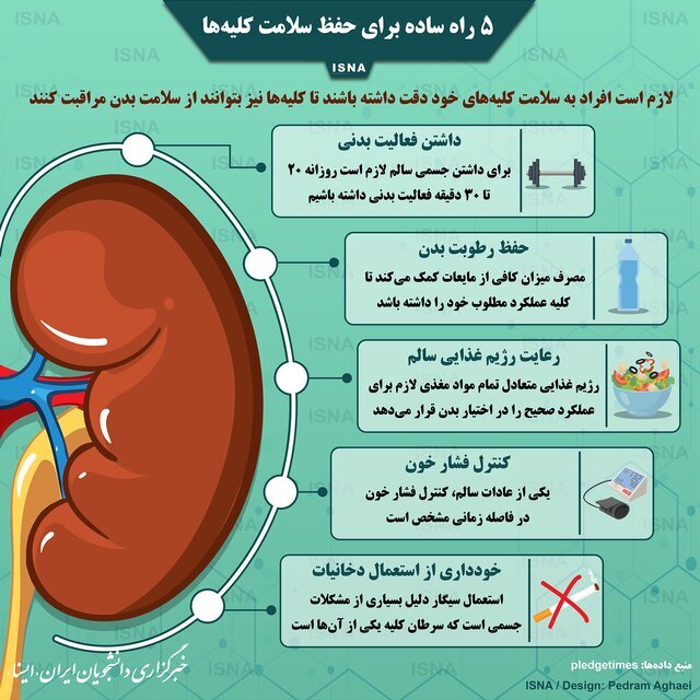 پنج راه ساده برای حفظ سلامت کلیه&zwnj;ها + اینفوگرافیک