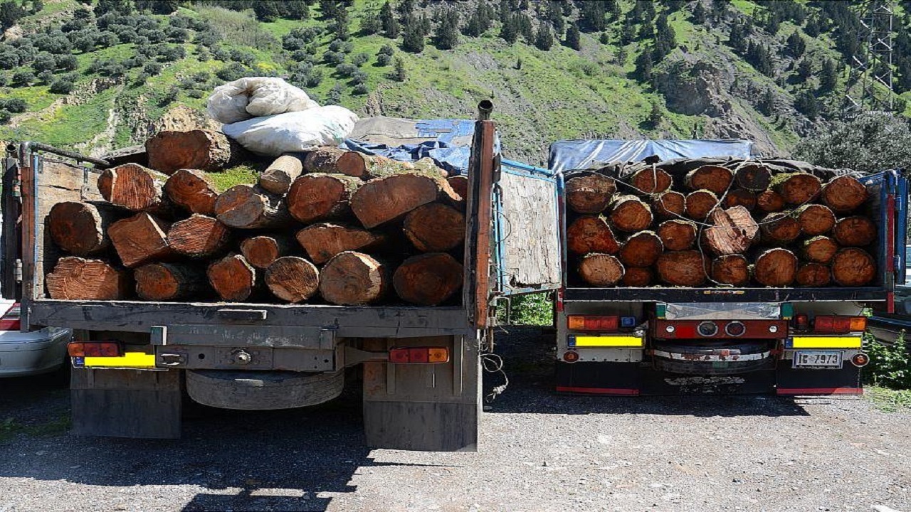 کشف ۳۱۲ متر مکعب چوب قاچاق در کردستان