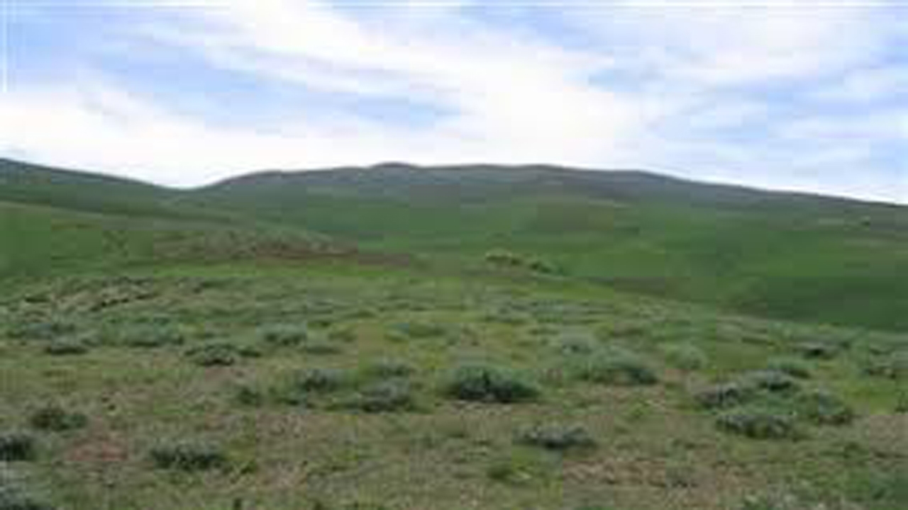 احیای مراتع در روستای دهمورد بختگان