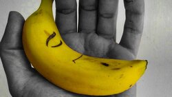 لحظه درختکاری سگ رباتیک اسپات در جنگل + فیلم
